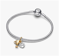 Charm Pandora Donna Travel and Hobbies in Argento 764715C01 - 764715C01
